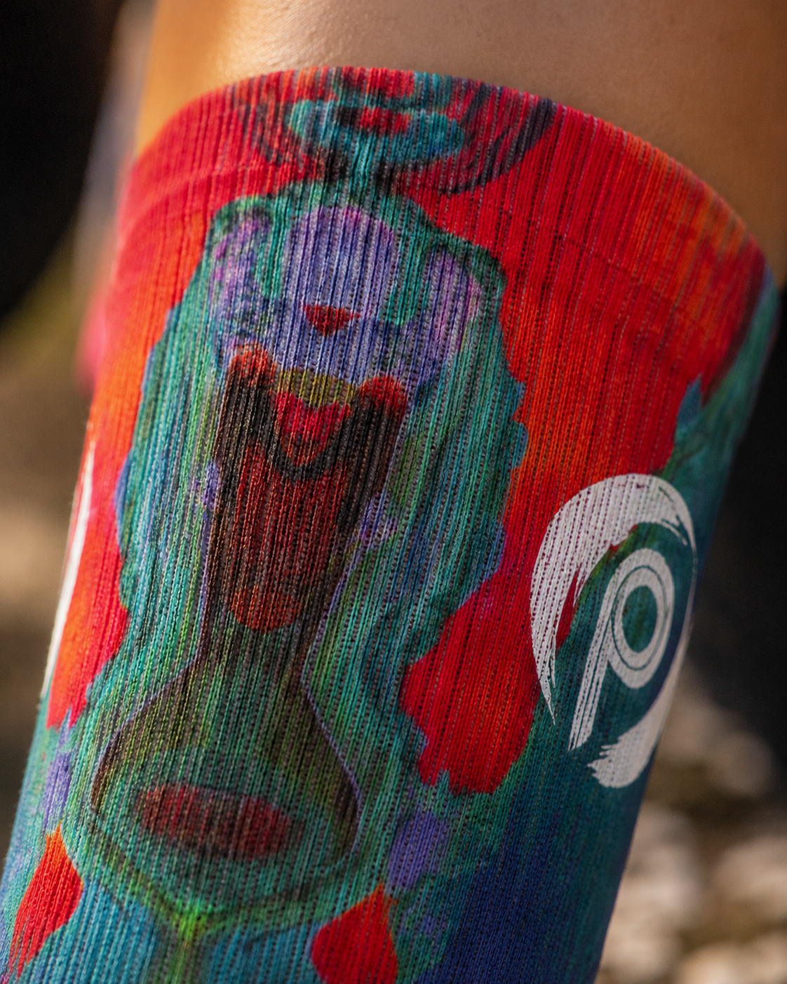 Elixir Socks