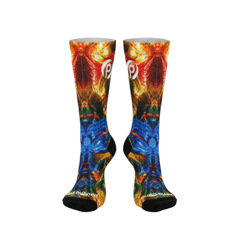 Cirque Socks